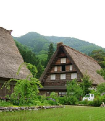 白川郷店